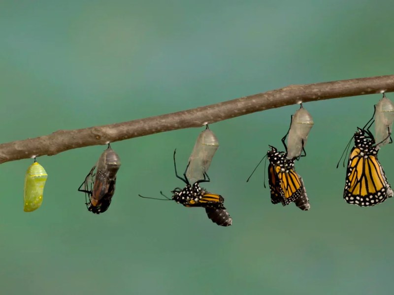 The Room to Become: An Invitation from Rev.&nbsp;JJ